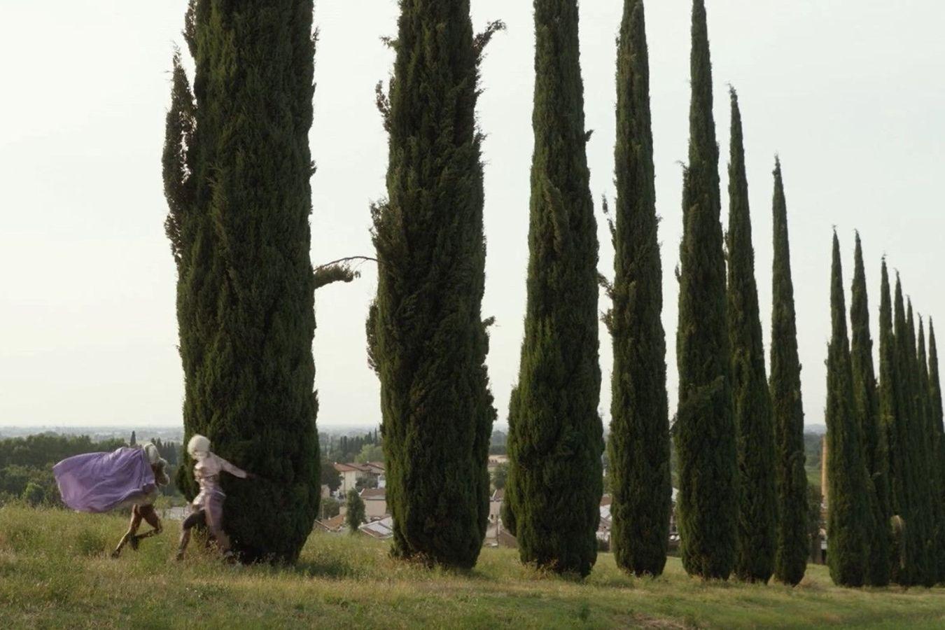 Two people in magnificent clothing are walking in front of a row of cypress trees.