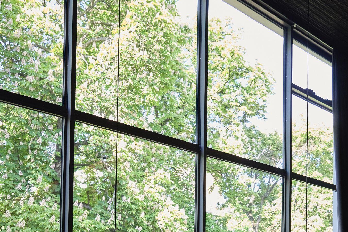 Blick aus dem Oberen Foyer des Haus der Berliner Festspiele auf einen blühenden Baum