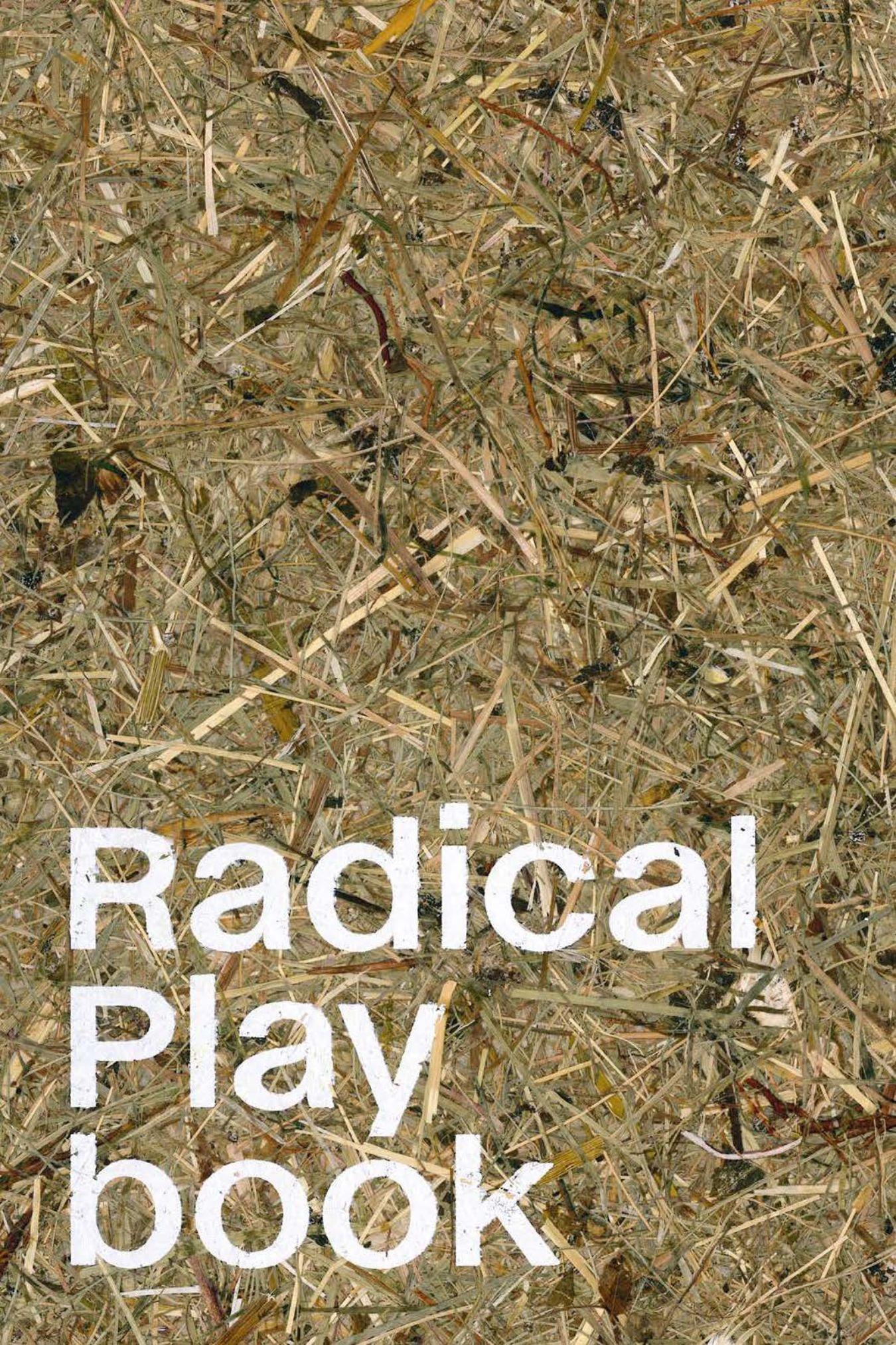 Playbook Radical Playgrounds 2024