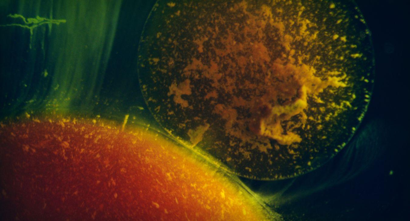 Philippe Parreno, Anywhen, 2017 (film still) © Philippe Parreno. Courtesy the artist and Pilar Corrias, London, Gladstone Gallery, New York and Brussels, Esther Schipper, Berlin