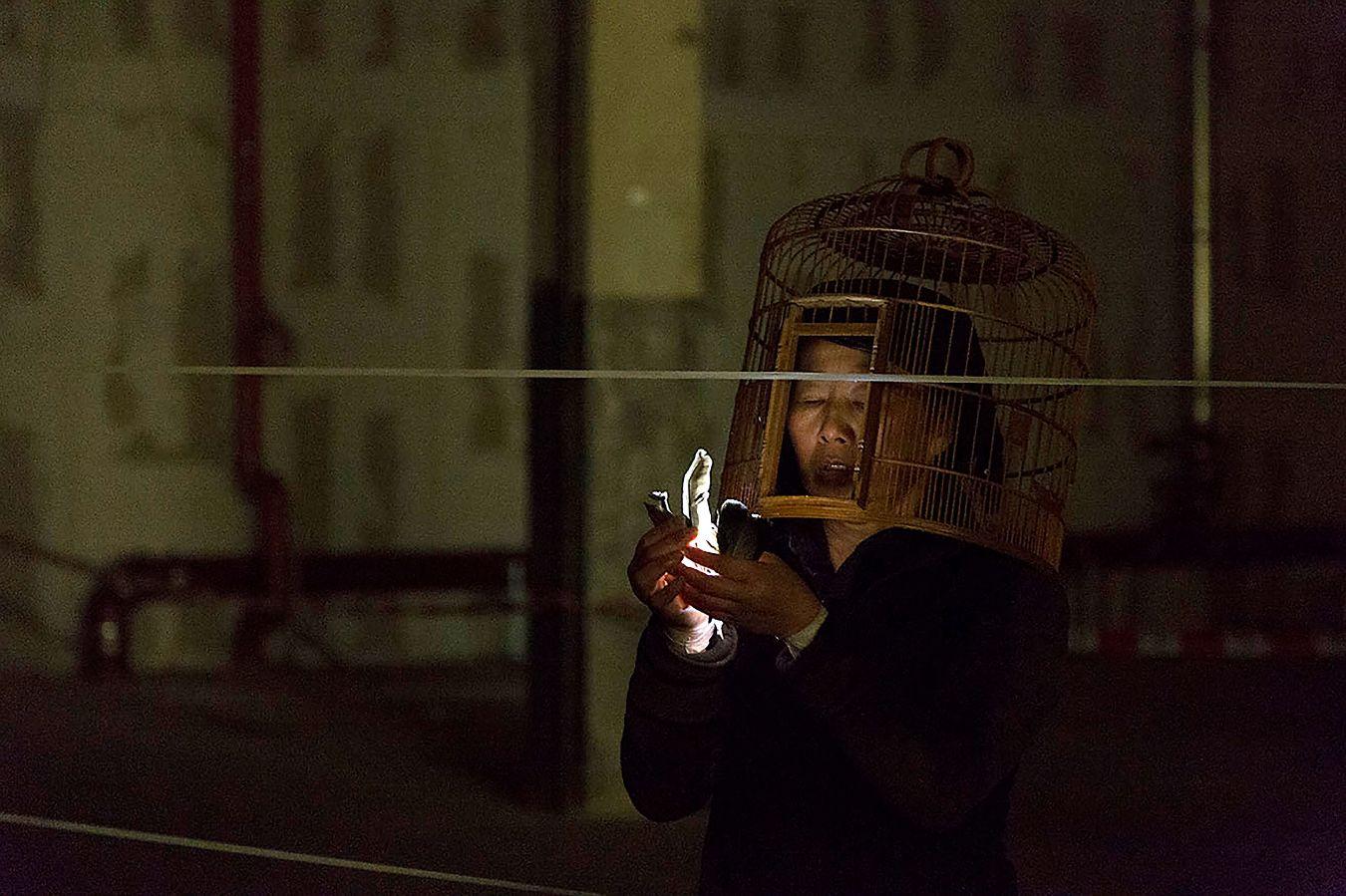 Liping Ting © Jörn Vanselow