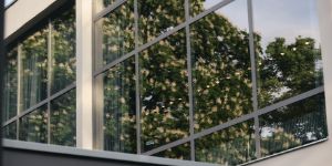 Blossoming chestnut trees are reflected in the glass façade of the Haus der Berliner Festspiele.