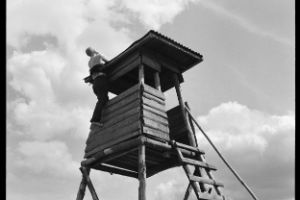 Eine Frau klettert mit bloßen Füßen auf einen Hochstand.