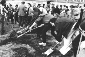 People with shovels stand in a row and dig.