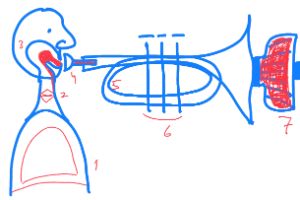 Einfache Zeichnung einer Person,  die ein Blechblasinstrument spielt. Die für die Klangerzeugung wichtigen Stellen sind mit Ziffern markiert.