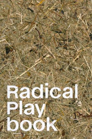 Playbook Radical Playgrounds 2024