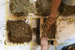 Earth Workshop. Photo: Laura Fiorio