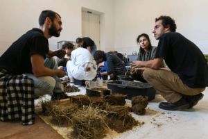 Earth Workshop. Photo: Laura Fiorio