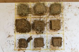 Earth Workshop. Photo: Laura Fiorio