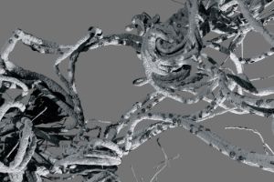 Sich umeinander windende Schnüre, deren Oberfläche reliefartig gekerbt erscheint.