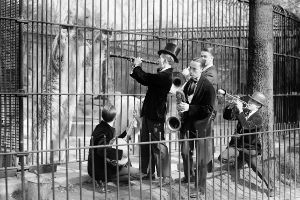 Five people play instruments in front of a polar bear in a cage