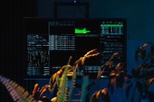 Plants are in front of a screen with cryptic computer codes.